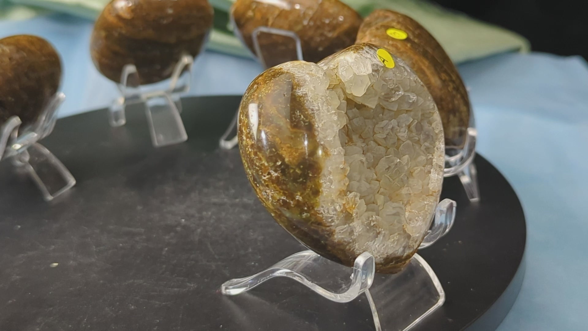 Ocean Jasper Hearts and Palms