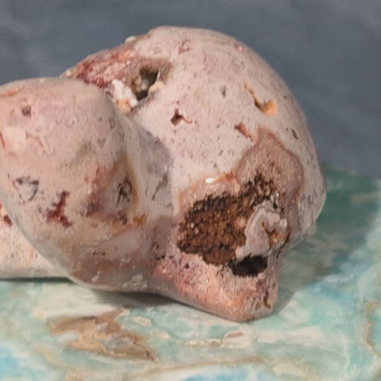 Druzy Pink Crazy Lace Agate Turtle Figurine