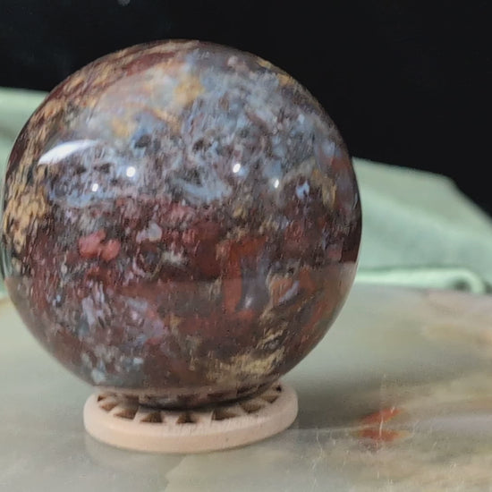 Petrified Wood Sphere