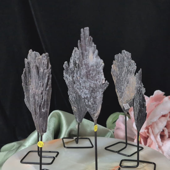 Black Kyanite Fan Formations