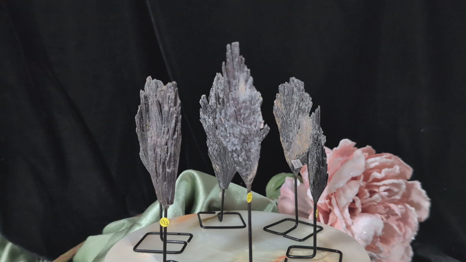 Black Kyanite Fan Formations
