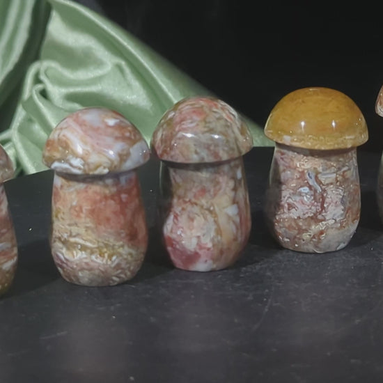 Petrified Wood Mushrooms
