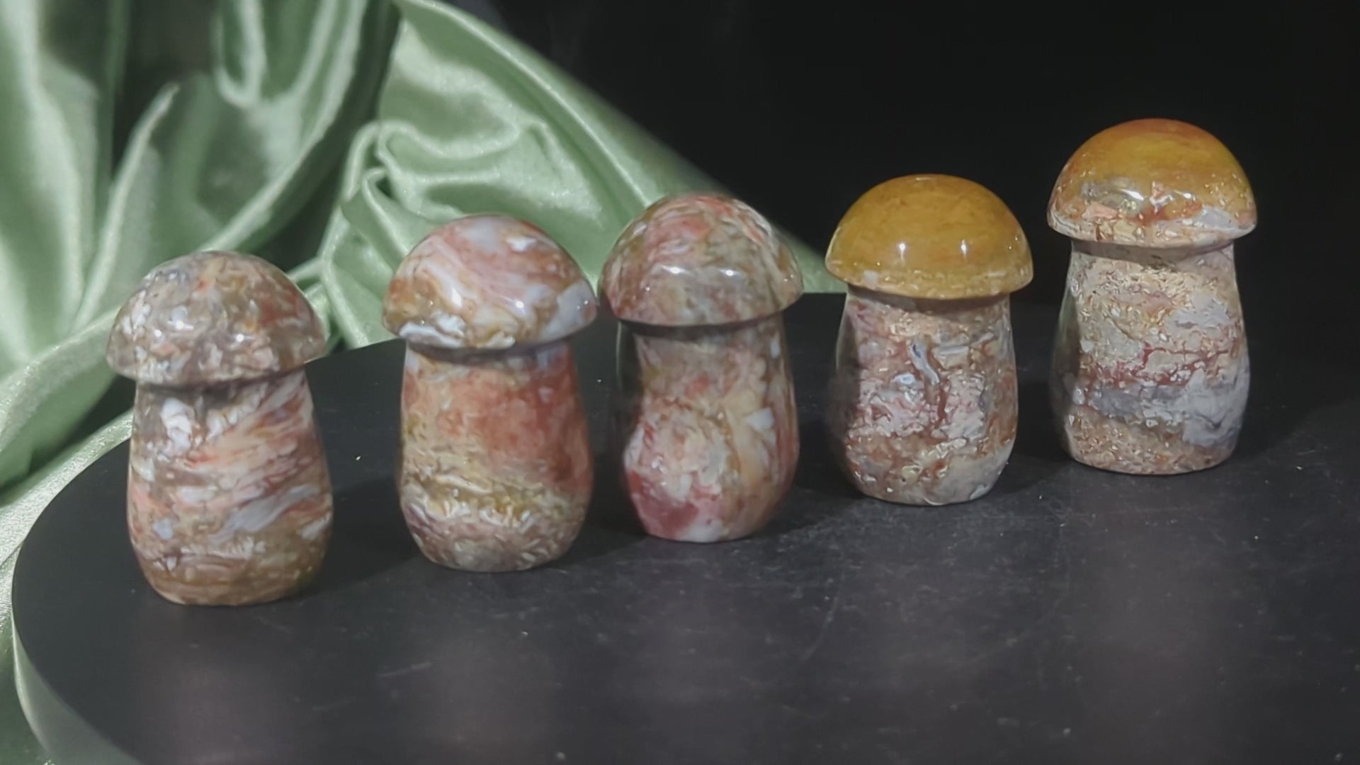 Petrified Wood Mushrooms