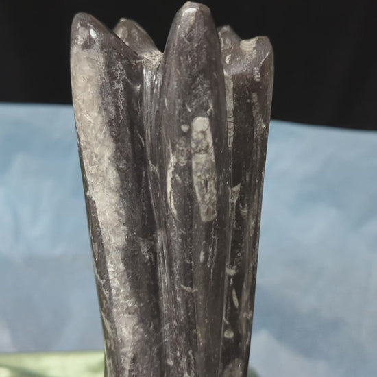 Orthoceras Tower