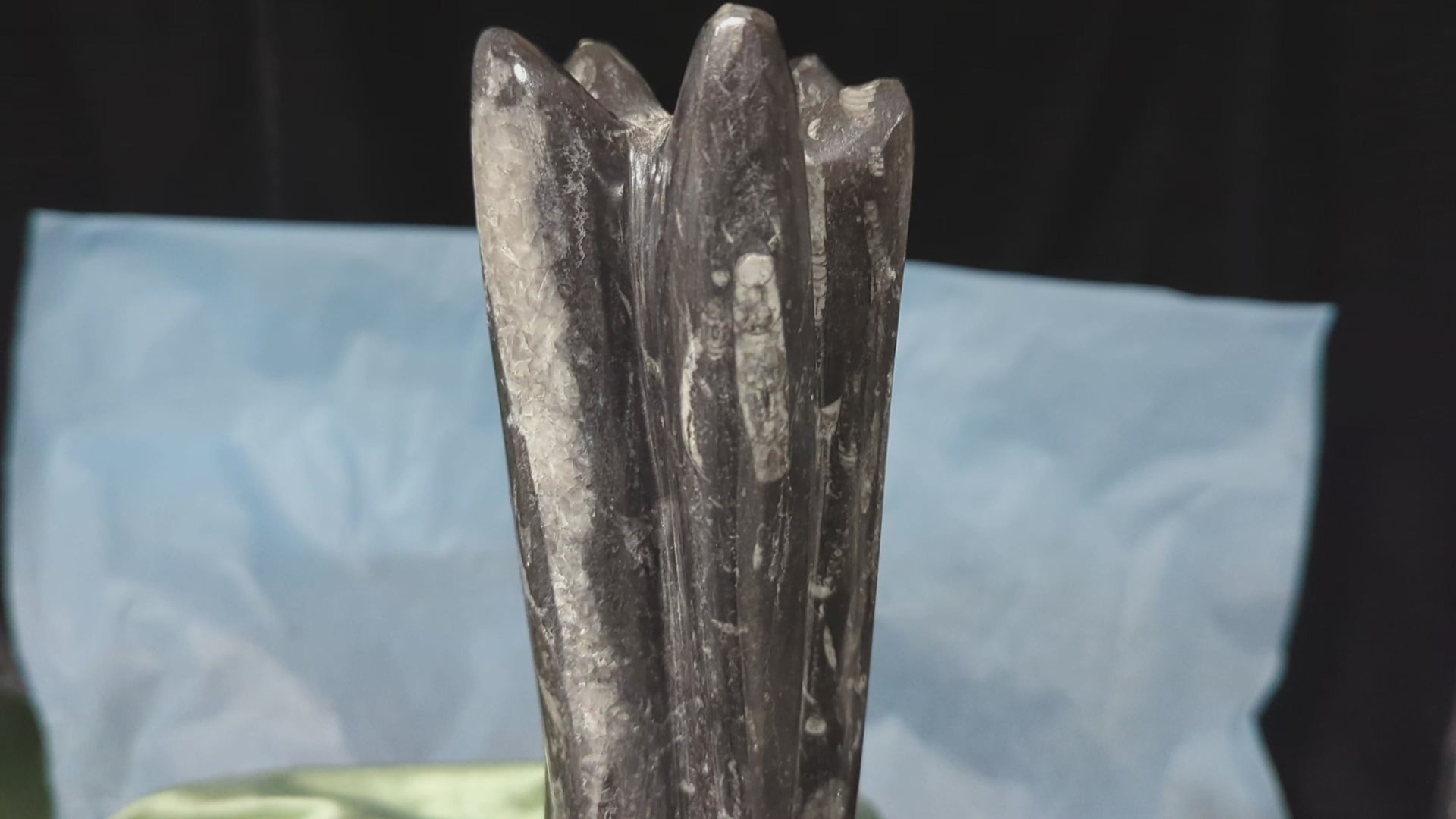 Orthoceras Tower