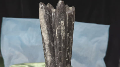 Orthoceras Tower