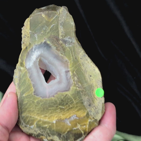Green Petrified Wood Slabs with Bubble Calcite Caves