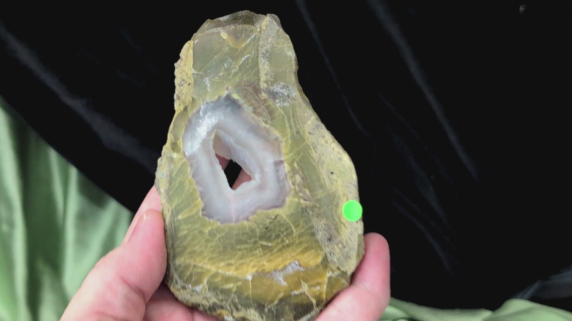 Green Petrified Wood Slabs with Bubble Calcite Caves