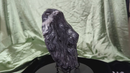 Black Jade Lion Head Carving