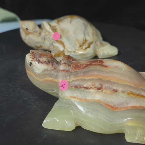 Carved Onyx Turtle Figurines