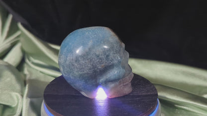 Trolleite Crystal Skull